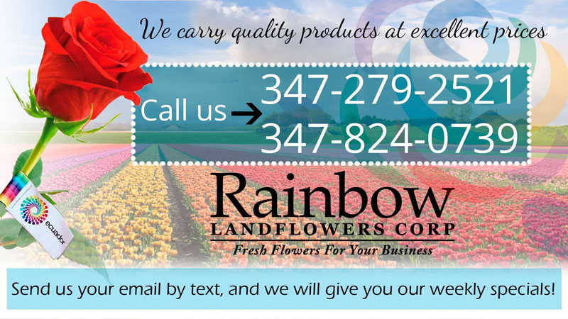 Send Us Your Email Address By Text Rainbow Land Flowers Corp.