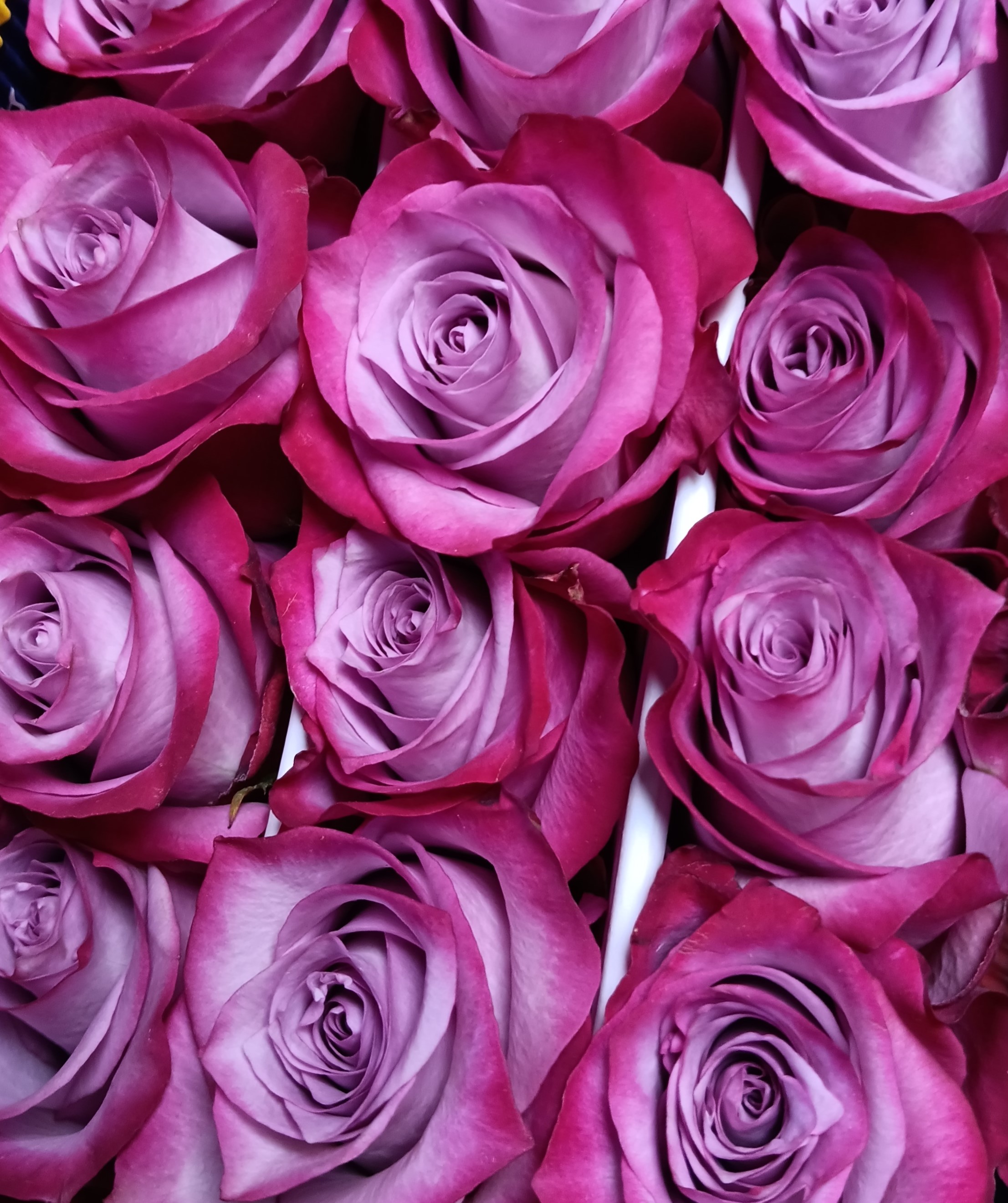 Deep Purple